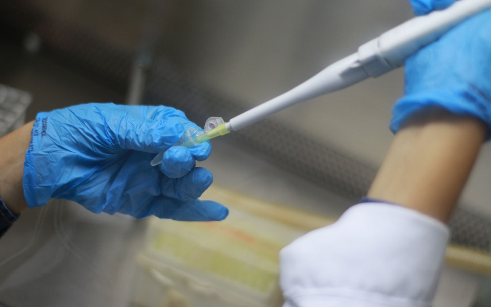 Close-up of a scientist using a pipette in a laboratory, highlighting precision work with blue gloves.